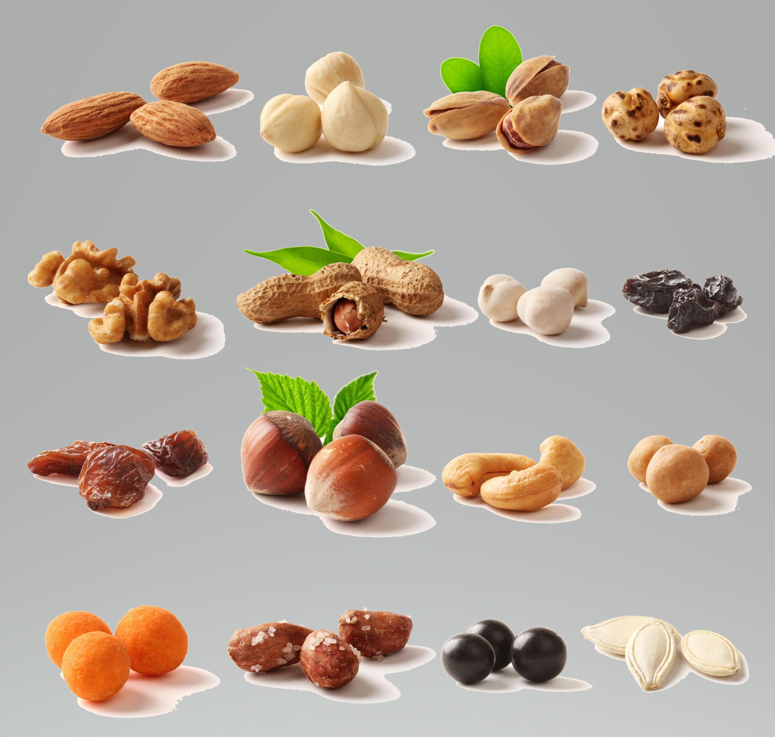 Food (hunny, nuts, dried fruits)